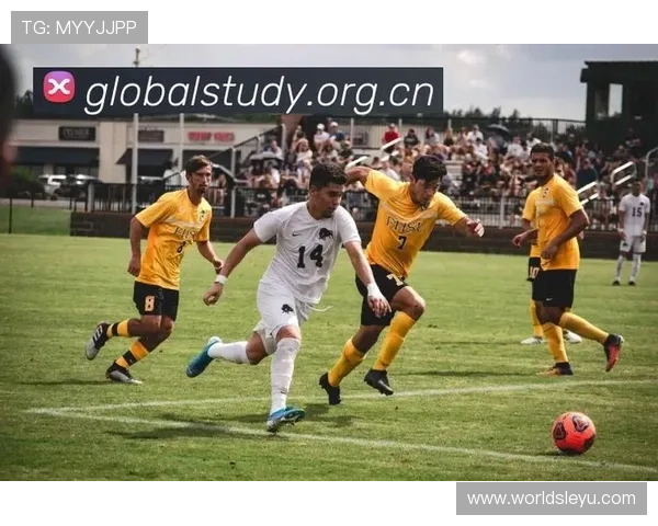 乐鱼体育在线安全登录技术方案全景解读保障线上体育赛事直播平台的账户安全 乐鱼体育在线安全登录技术方案全景解读保障线上体育赛事直播平台的账户安全