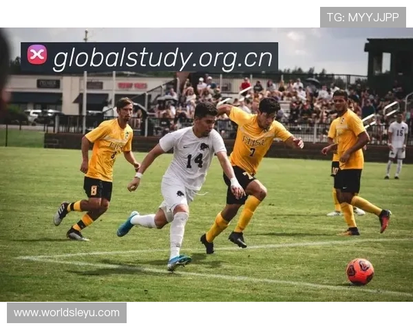 乐鱼体育线上登陆官方入口，全天候稳定支持多设备登录确保您的体育娱乐体验