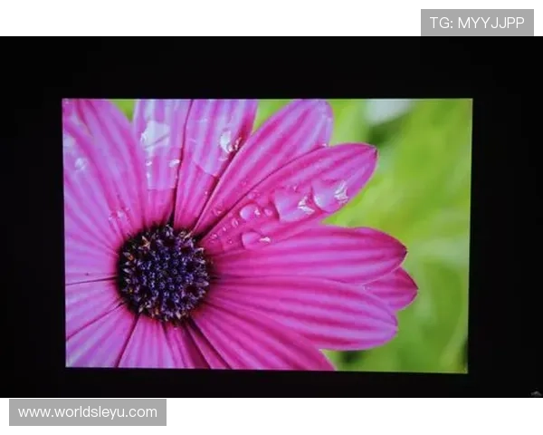 乐鱼全网版高清画质与高速加载,畅享影院级视觉体验无延迟 乐鱼全网版高清画质与高速加载,畅享影院级视觉体验无延迟