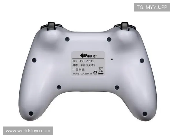 乐鱼备用平台官网为玩家提供安全便捷的登录入口保障游戏体验的全面指南